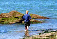 wpeC5.jpg (13053 Byte)